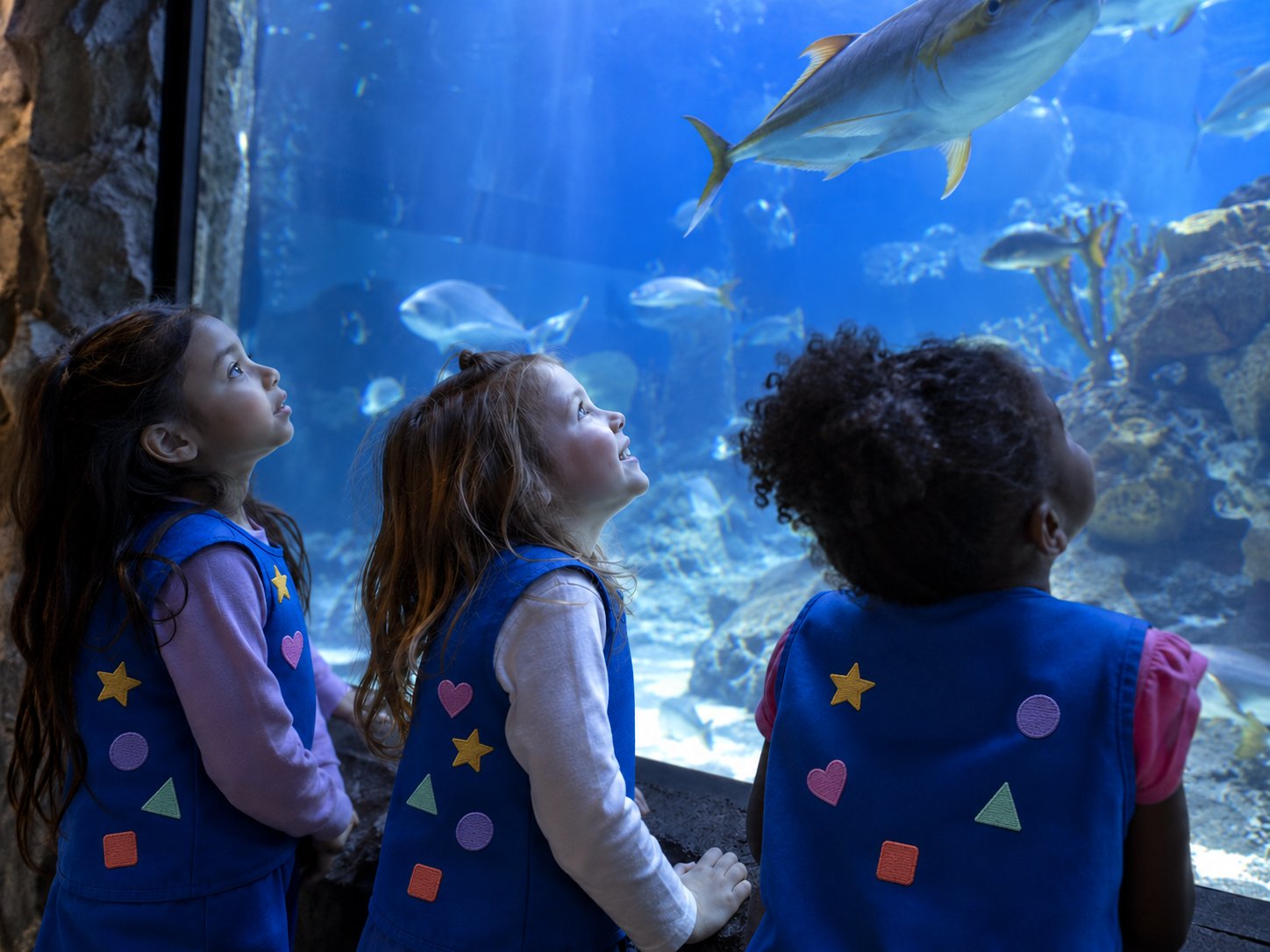 Three kids gazing up at an aquarium tank